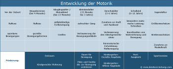 https://www.kindererziehung.com/tl_files/entwicklung/motorik.png